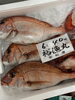 「ホームページはこちら🔗iwafunegyokou.com」