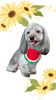 「Dog salon mofu mofu　余市町」