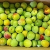 「和歌山県産　「南高梅」入荷してます✨」