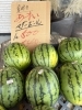 甘いスイカ!“マダーボール”「宮崎産のあまい小玉スイカ「マダーボール」🍉店頭にて販売中!」