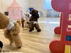 米ちゃんともっちーちゃん　お相撲中〜「ましゅまろ幼稚園🐾」