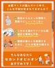 お家づくりが進む中で、ご不安はありませんか？「【本当にこのままで大丈夫？】間取り＆見積りのセカンドオピニオン💪」