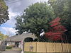 「常陸風土記の丘　紅葉見頃🍁」