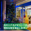 「✨🎄【冬のイルミネーション開催中！】🎄✨」