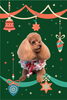 「Dog salon mofu mofu　余市町」