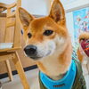 まるちゃん「今日のお友達」