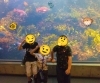 「✨🐟葛西臨海水族園🐟✨」