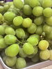 少しずつお裾分けです♪「秋の味覚・シャインマスカットを少しずつおすそ分け中です」
