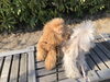 くんくん。くんくん。イイ匂いしますかぁ「おはようございます（╹◡╹）」