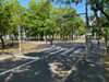 交通公園では、自転車・足踏み式ゴーカートを貸し出しています「公益社団法人 千歳市シルバー人材センター」
