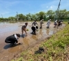 「高湯温泉日本酒プロジェクト - 田植え -【至福の湯宿　安達屋｜福島県・高湯温泉】」