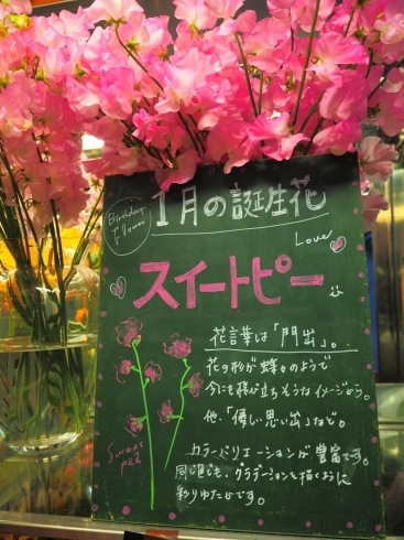 花贈り難民さん。店内のボードに注目ですよ。「１月の誕生花はスイートピー。花言葉も素敵。」