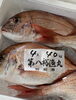 「岩牡蠣入荷してます」