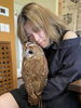 ももちゃんです、女性限定って位男嫌いなんです「フクロウに癒やされる」