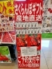 「《さくらんぼギフト》がお買い得になってます❕」
