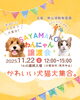 「2025/11/22㈯ 譲渡会(所沢市)保護犬参加情報！⑭ポメラニアン　埼玉/所沢・入間・狭山・川越・飯能 　東京/東大和・武蔵村山・東村山・東久留米・小平・立川」