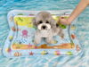 むくちゃん「波とわんこ🌊＆サロンから」