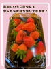 持ち帰り用のパックもあります。「【栗東市】「SYMBIOSIS FARM by YANMAR」さんでいちご狩り＆スイーツづくり体験！」