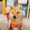 うめちゃん「今日のお友達」