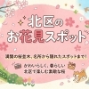 北区の桜、お花見スポット