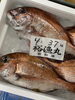 「岩船港直売所営業致します」