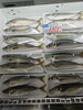 「舞鶴産 白ばい貝1パック800円＆舞鶴産お丸アジのご案内」