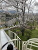「津山のお花見の穴場？神楽尾公園」