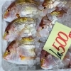 魚魚市場鮮魚コーナーおすすめは クロ シビマグロ です 魚魚の宿のニュース まいぷれ 佐世保 魚魚市場鮮魚コーナーおすすめは クロ シビマグロ です 魚魚の宿のニュース まいぷれ 佐世保