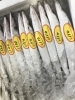 「魚魚市場鮮魚コーナーおすすめは「マングローブガニ」です🎶」