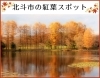 北斗市の紅葉スポット
