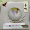 上用製　藤棚