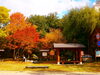 カラコロの足湯「🍁紅葉の様子Vol.3🍁【戸倉上山田温泉　有田屋旅館　長野県　紅葉旅】」