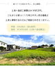 「【土地情報】波佐見町／子育て／長崎／上山建設」