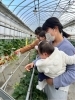 「園外活動🍓いちご狩り🍓」