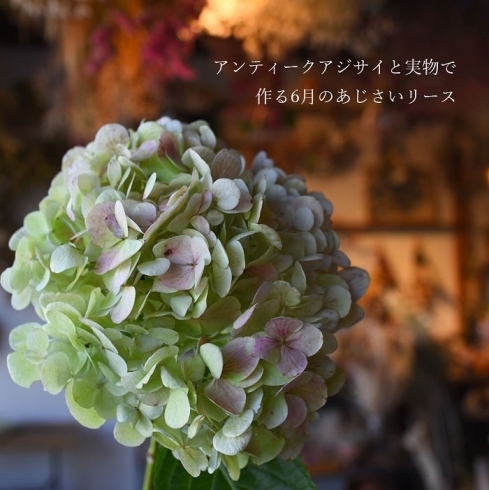 「6月の花#アジサイ を使ったワークショップ」