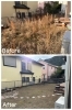 除草作業「西宮市名塩で木の伐採や草刈りをしました！」