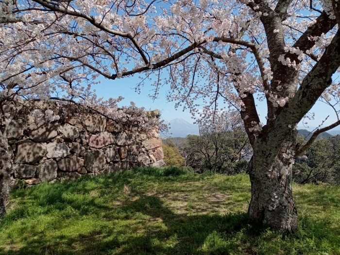 湊山公園　米子市西町