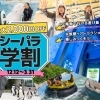 学生限定！最大2,000円OFF！【前売】シーパラ学割（～3月31日（火）まで）