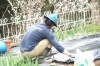 家庭菜園｜耕した土にマルチカバーをかける「猪名川町の田舎暮らし【家庭菜園】｜ジャガイモ植え付け準備をするフリーコンセプション」