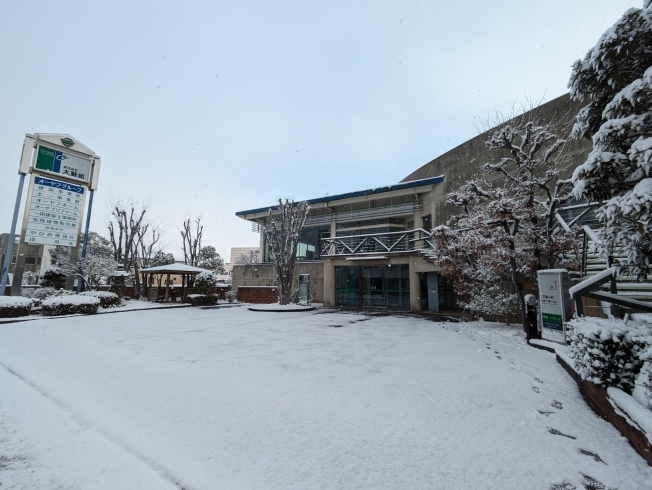 昨日からの雪で、今朝は一面雪景色❄「2/3・4 モデルハウスグランドオープン！」