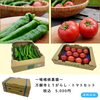 「今年のお中元は“舞鶴の味”を！【第二弾】「嵯峨根農園」万願寺とうがらし・トマトセット🫑🍅 ⁡」