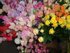 スイトピー・ミニバラ「今日入荷のお花！」