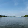 本日の水門湾（Suimon BAY）「【初夏の陽気！】脂の乗った「カンパチあら塩焼」＆「チキン南蛮」でスタミナチャージ！🍱🐟」