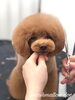 「秋のオプションキャンペーン　^ - ^」