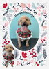 「Dog salon mofu mofu　余市町」