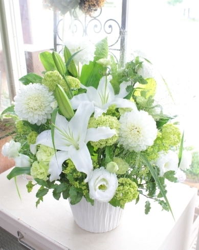 夏の切り花の選び方 アグレアーブル花やのニュース まいぷれ 吉野川市 阿波市 夏の切り花の選び方 アグレアーブル花やのニュース まいぷれ 吉野川市 阿波市