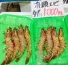 「魚魚市場鮮魚コーナーおすすめは「レンコ鯛、お買い得‼︎」です♪」