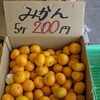 「今日は惣菜担当！」