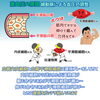 「高血圧の原因「細動脈による血圧の調整」を絵ぶろぐで解説しました」