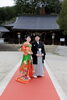 「新見で結婚式💓　船川八幡宮様と提携しています♪」